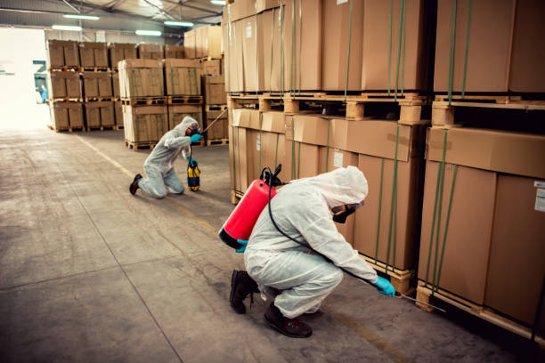 Best Mosquito Control Services  in Hayfork, CA