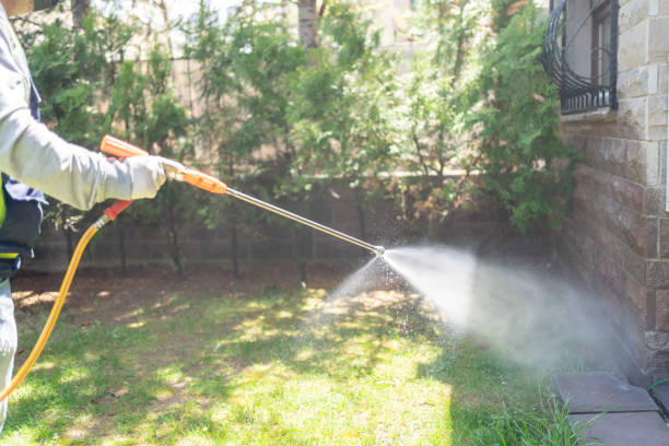 Best Spider Control Near Me  in Hayfork, CA