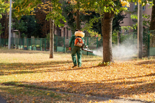 Best Affordable Pest Control Services  in Hayfork, CA