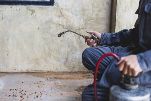 Best Pest Inspection Near Me  in Hayfork, CA